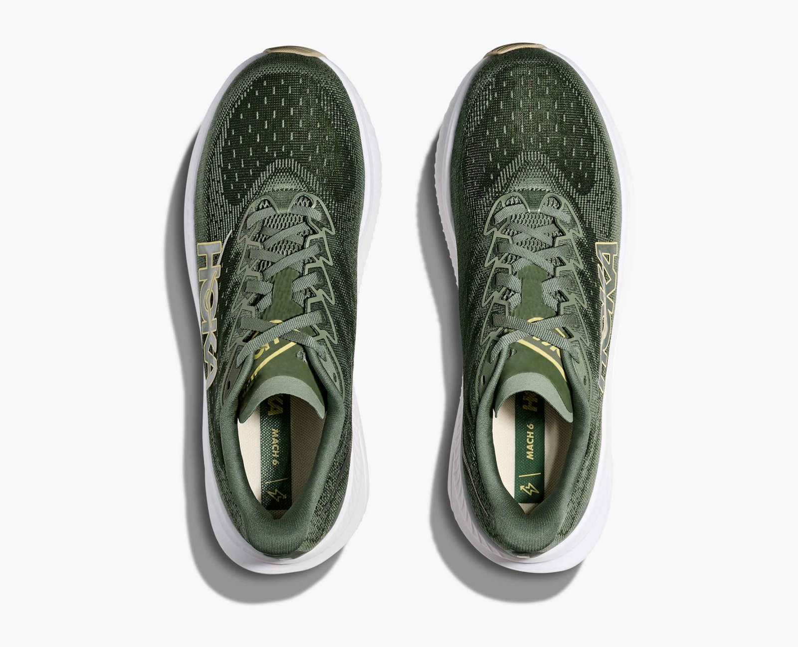 Homme Mach 6 - succulent / fern – Image 2